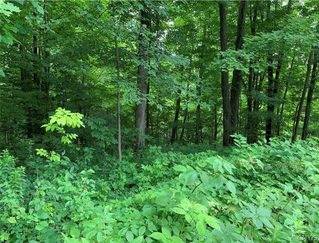 60 Ridgeway Sites Avenue, Minetto, NY 13115
