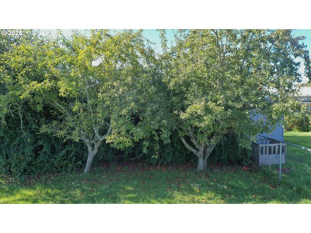 533 ART St, Brookings, OR 97415