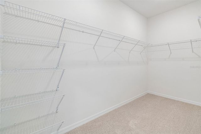 6408 JENSEN VIEW AVENUE, Apollo Beach, FL 33572
