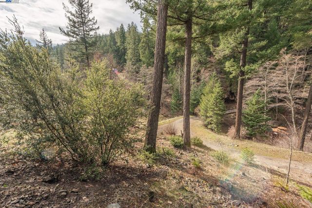 540 Lost Bridge Rd, Lewiston, CA 96052