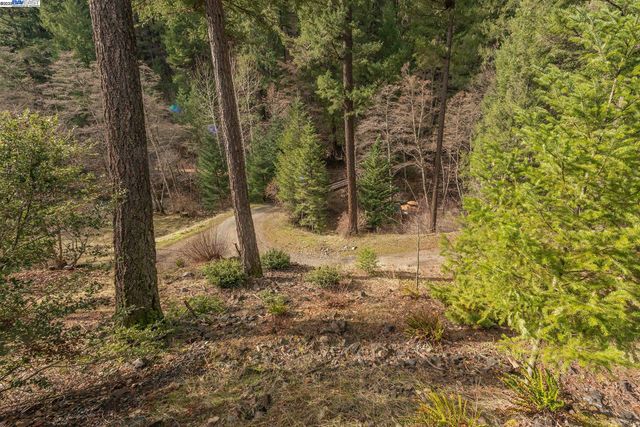 540 Lost Bridge Rd, Lewiston, CA 96052
