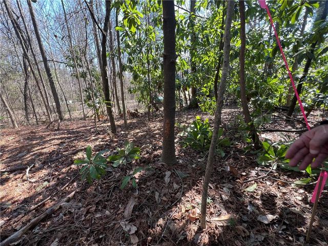 4175 Campbell Road, Snellville, GA 30039