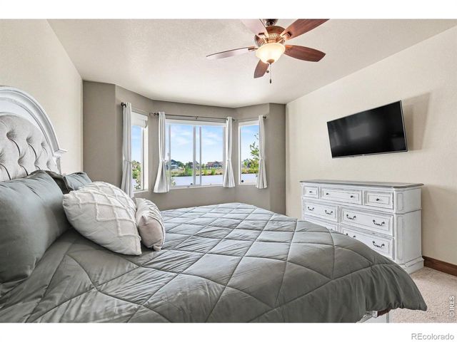 573 Vermilion Peak Drive, Windsor, CO 80550
