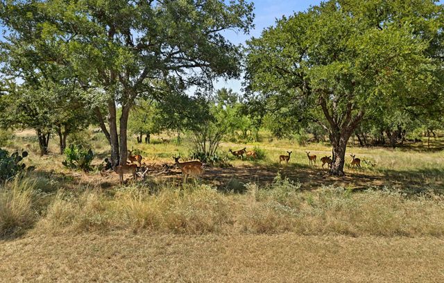 135 E Hickory DR, Granite Shoals, TX 78654