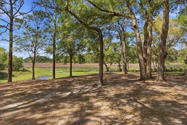 31325 PRESTWICK AVENUE, Sorrento, FL 32776