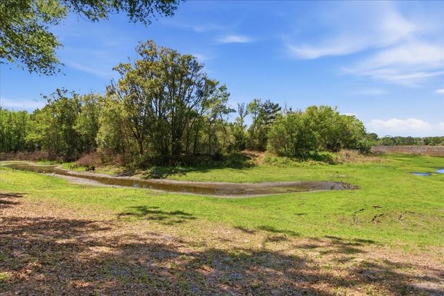 31325 PRESTWICK AVENUE, Sorrento, FL 32776