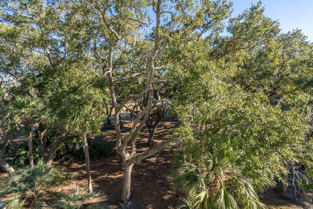 279 Driftwood Lane, Edisto Beach, SC 29438
