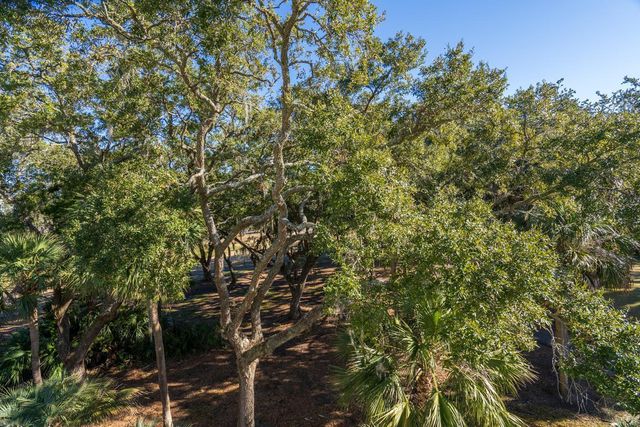 279 Driftwood Lane, Edisto Beach, SC 29438