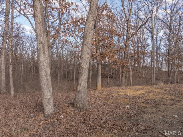 68 Beach Circle, Moscow Mills, MO 63362