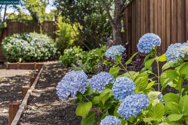 978 Kenston Dr, Clayton, CA 94517