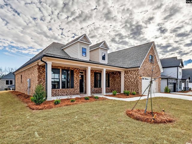 319 Murray Falls Lane, Chapin, SC 29036