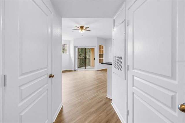 5125 PALM SPRINGS BOULEVARD 4305, Tampa, FL 33647