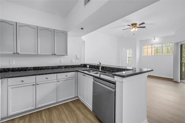 5125 PALM SPRINGS BOULEVARD 4305, Tampa, FL 33647