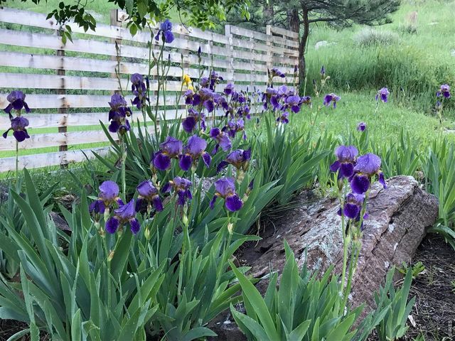 1254 Lee Hill Dr, Boulder, CO 80302