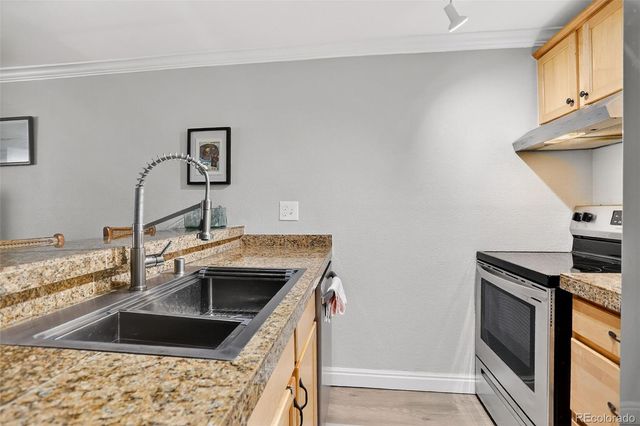 1125 N Washington Street 206, Denver, CO 80203