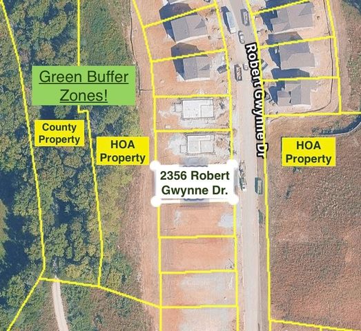 2356 Robert Gwynne Dr, Smyrna, TN 37167