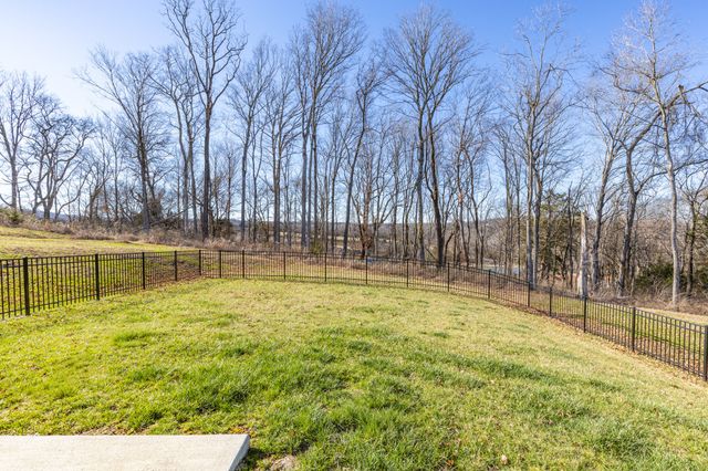 2356 Robert Gwynne Dr, Smyrna, TN 37167