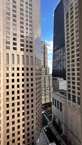 100 E Walton Street 27B, Chicago, IL 60611