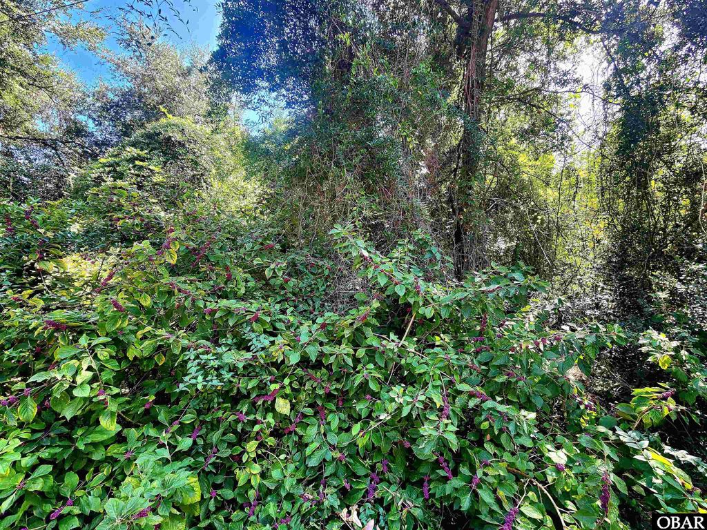 Image 3 of property listing at 50265 Timber Trail Lot 12, Frisco, NC 27936