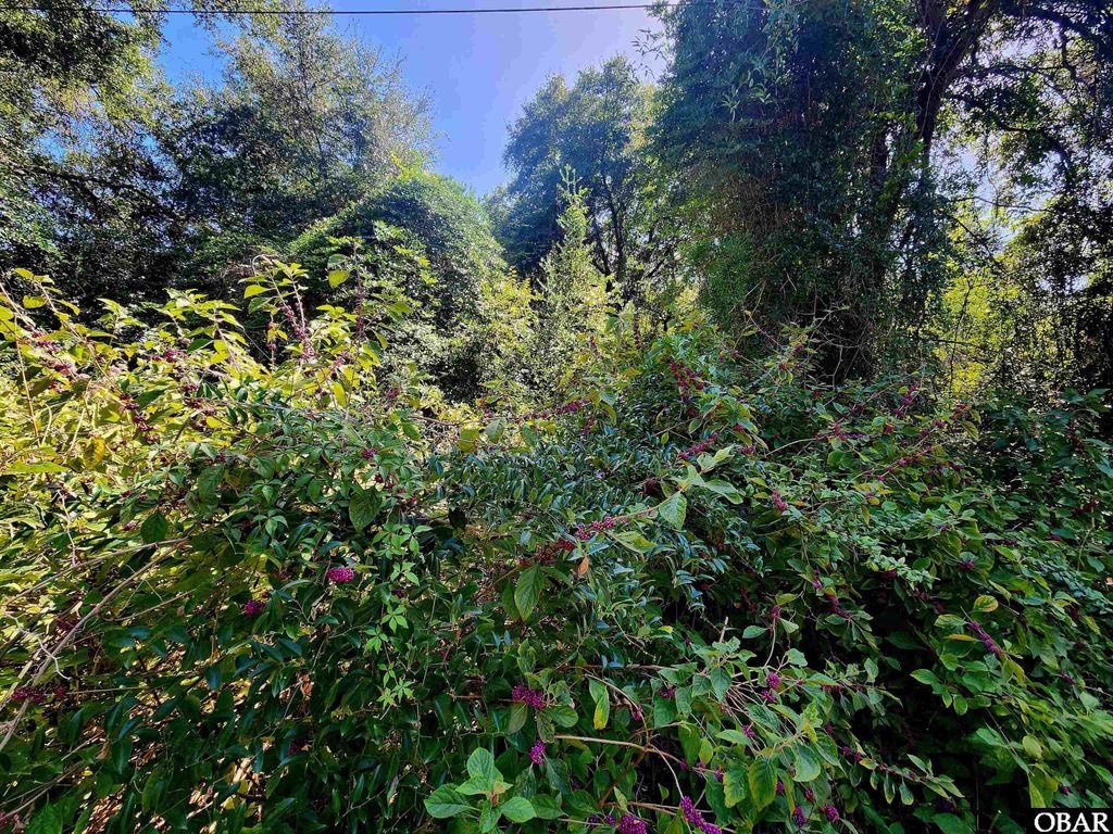 Image 6 of property listing at 50265 Timber Trail Lot 12, Frisco, NC 27936