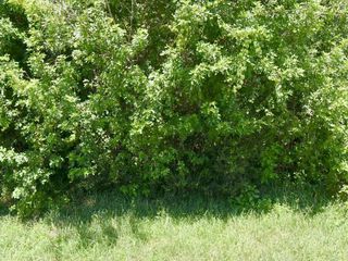 172 SW Gettysburg Drive, Port St. Lucie, FL 34953