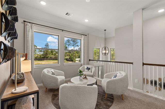 26822 Jovial Meadow Lane, Hockley, TX 77447