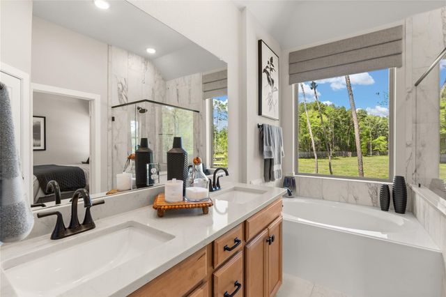 26822 Jovial Meadow Lane, Hockley, TX 77447