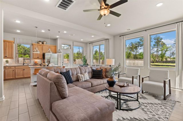 26822 Jovial Meadow Lane, Hockley, TX 77447