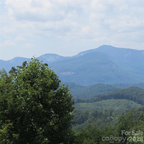 336 Willow Top Lane 336, Lake Lure, NC 28746