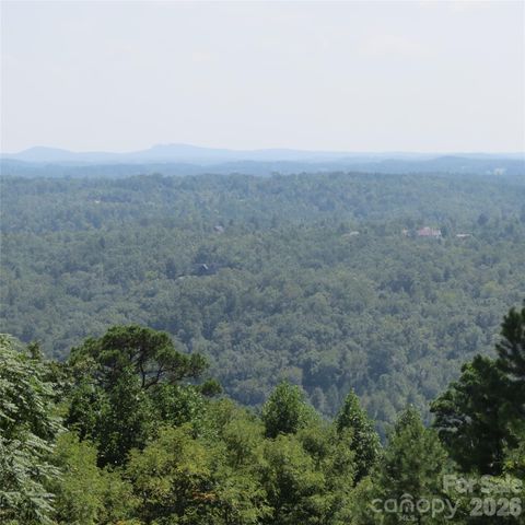 336 Willow Top Lane 336, Lake Lure, NC 28746