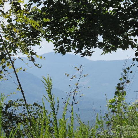 336 Willow Top Lane 336, Lake Lure, NC 28746