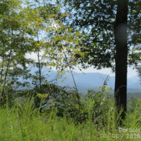 336 Willow Top Lane 336, Lake Lure, NC 28746