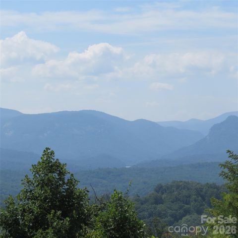 336 Willow Top Lane 336, Lake Lure, NC 28746