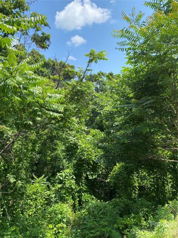 336 Willow Top Lane 336, Lake Lure, NC 28746