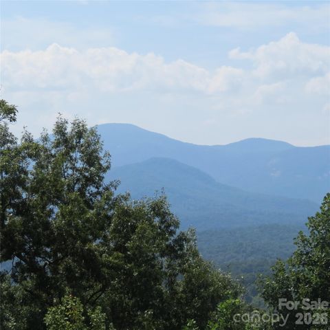 336 Willow Top Lane 336, Lake Lure, NC 28746