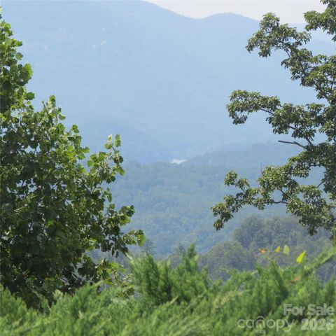 336 Willow Top Lane 336, Lake Lure, NC 28746