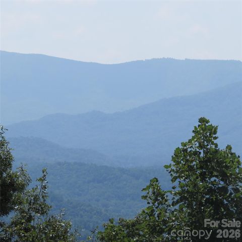 336 Willow Top Lane 336, Lake Lure, NC 28746