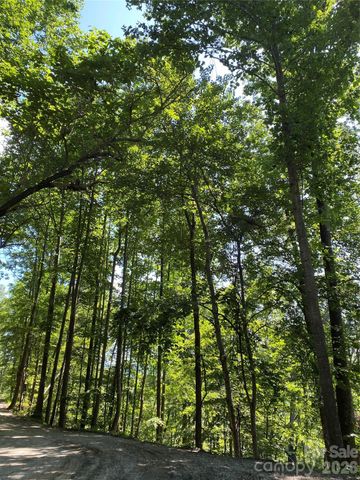 336 Willow Top Lane 336, Lake Lure, NC 28746