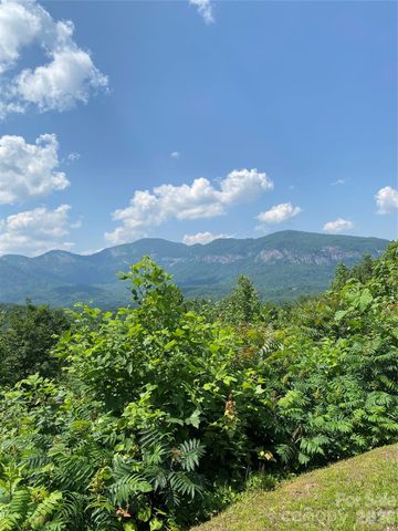 336 Willow Top Lane 336, Lake Lure, NC 28746