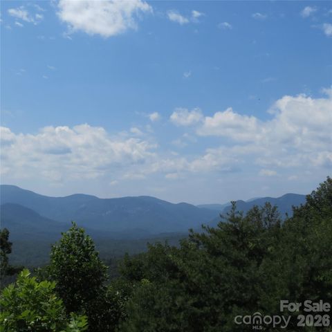 336 Willow Top Lane 336, Lake Lure, NC 28746