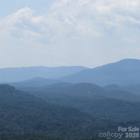 336 Willow Top Lane 336, Lake Lure, NC 28746