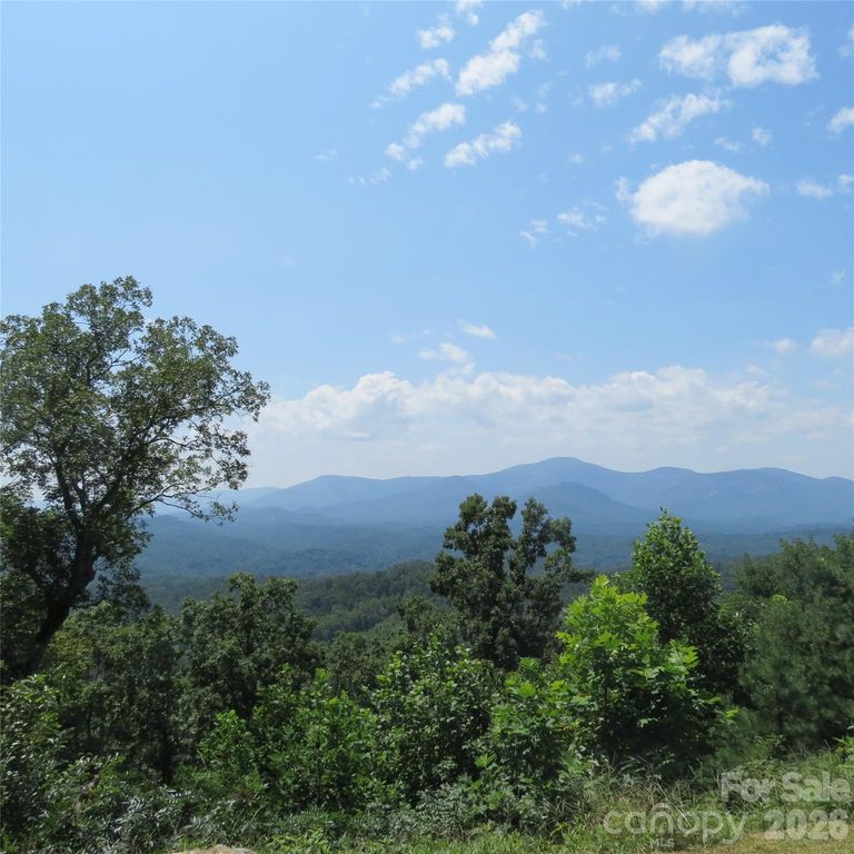 336 Willow Top Lane 336, Lake Lure, NC 28746
