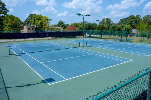 12802 Point Aquarius Boulevard, Willis, TX 77318