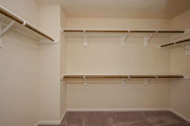 8231 Hawthorn Valley Lane, Houston, TX 77095