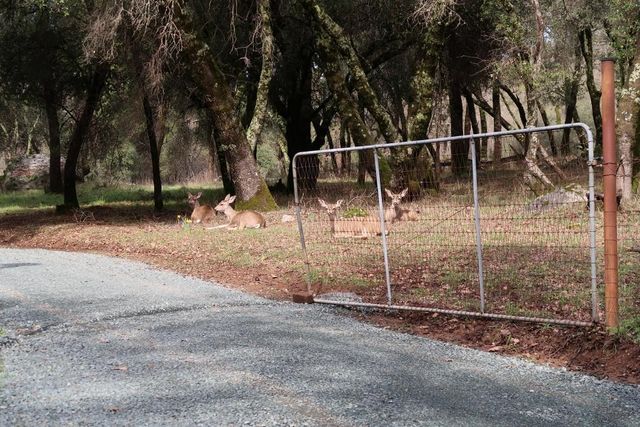 9760 Evans Way, Oregon House, CA 95962