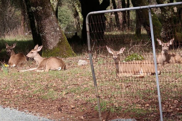 9760 Evans Way, Oregon House, CA 95962