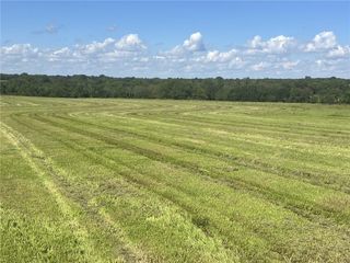 31201 Nelson Road, Drexel, MO 64742