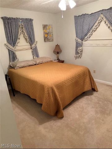 245 Kittle Street, Williamstown, WV 26187