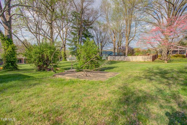 1302 Oxford Place, Johnson City, TN 37601