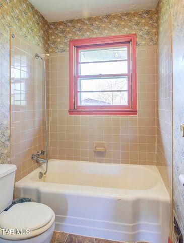 1302 Oxford Place, Johnson City, TN 37601